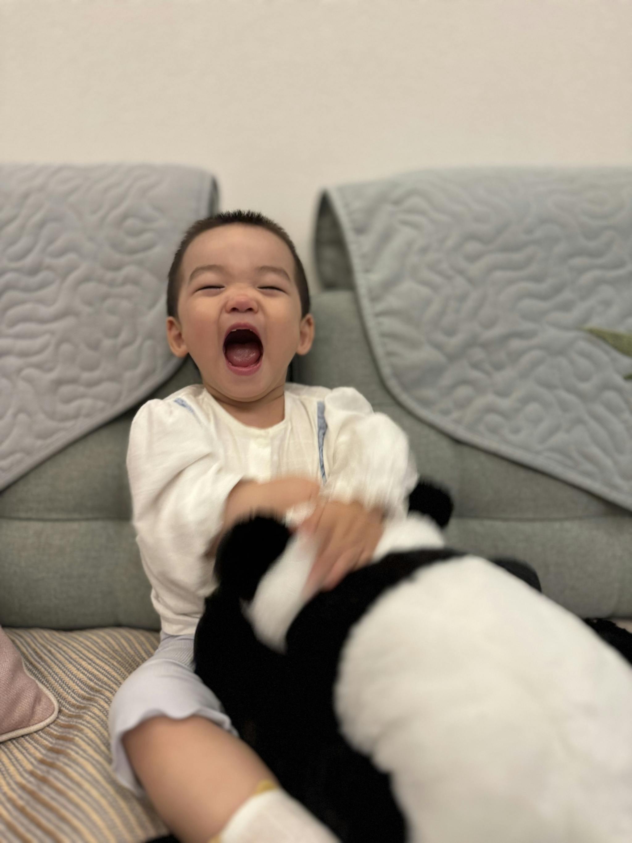 A joyful toddler with an open mouth is sitting on a couch, holding a black and white stuffed animal