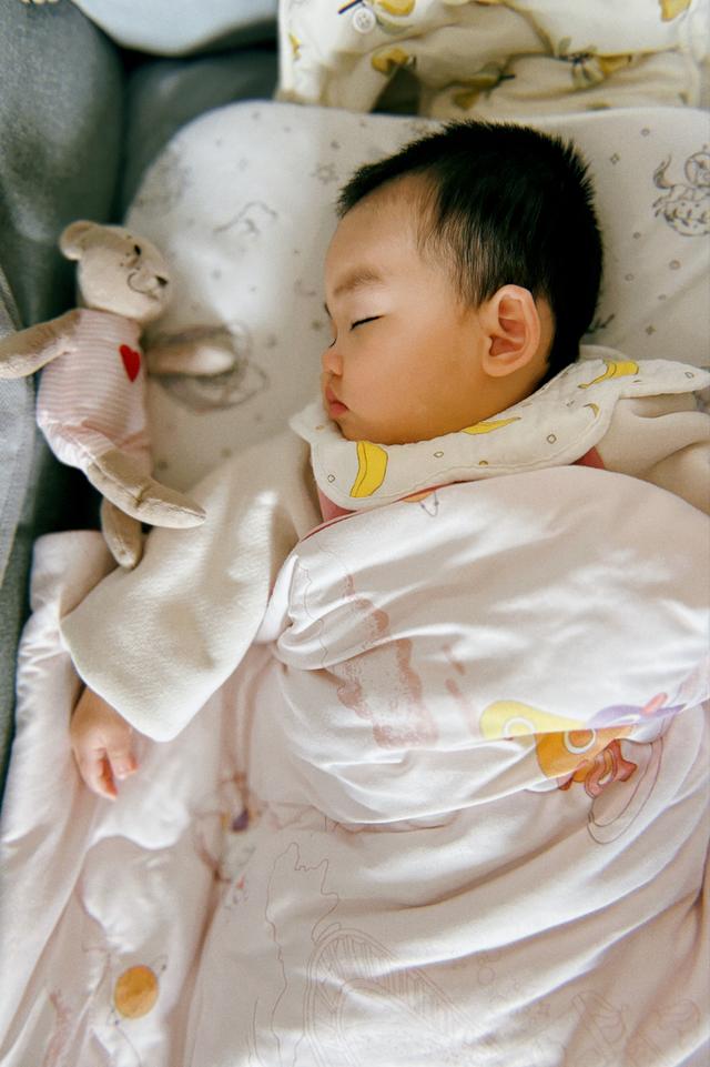 A sleeping baby wrapped in a blanket, with a stuffed animal by its side